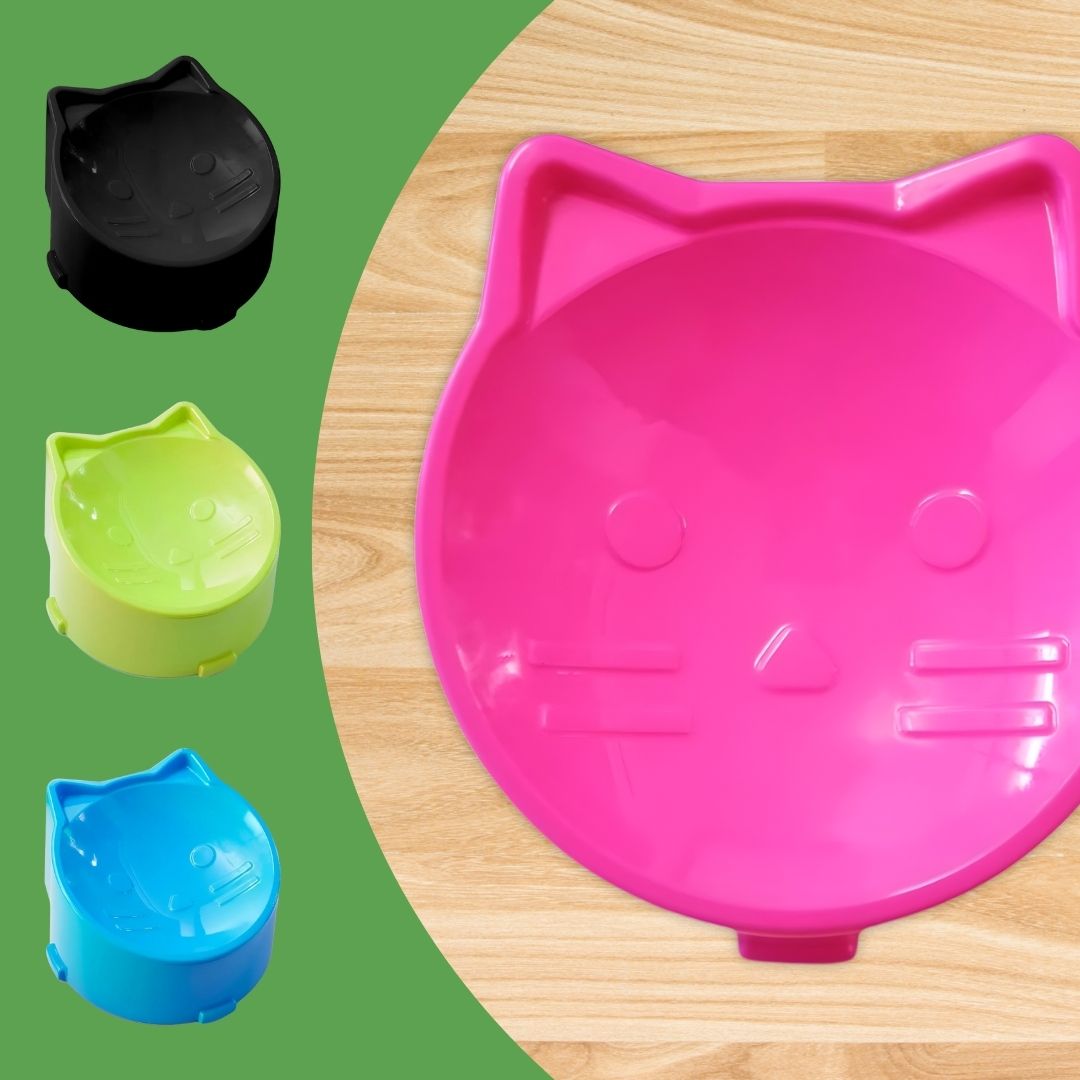 Comedouro Multifuncional para Gatos