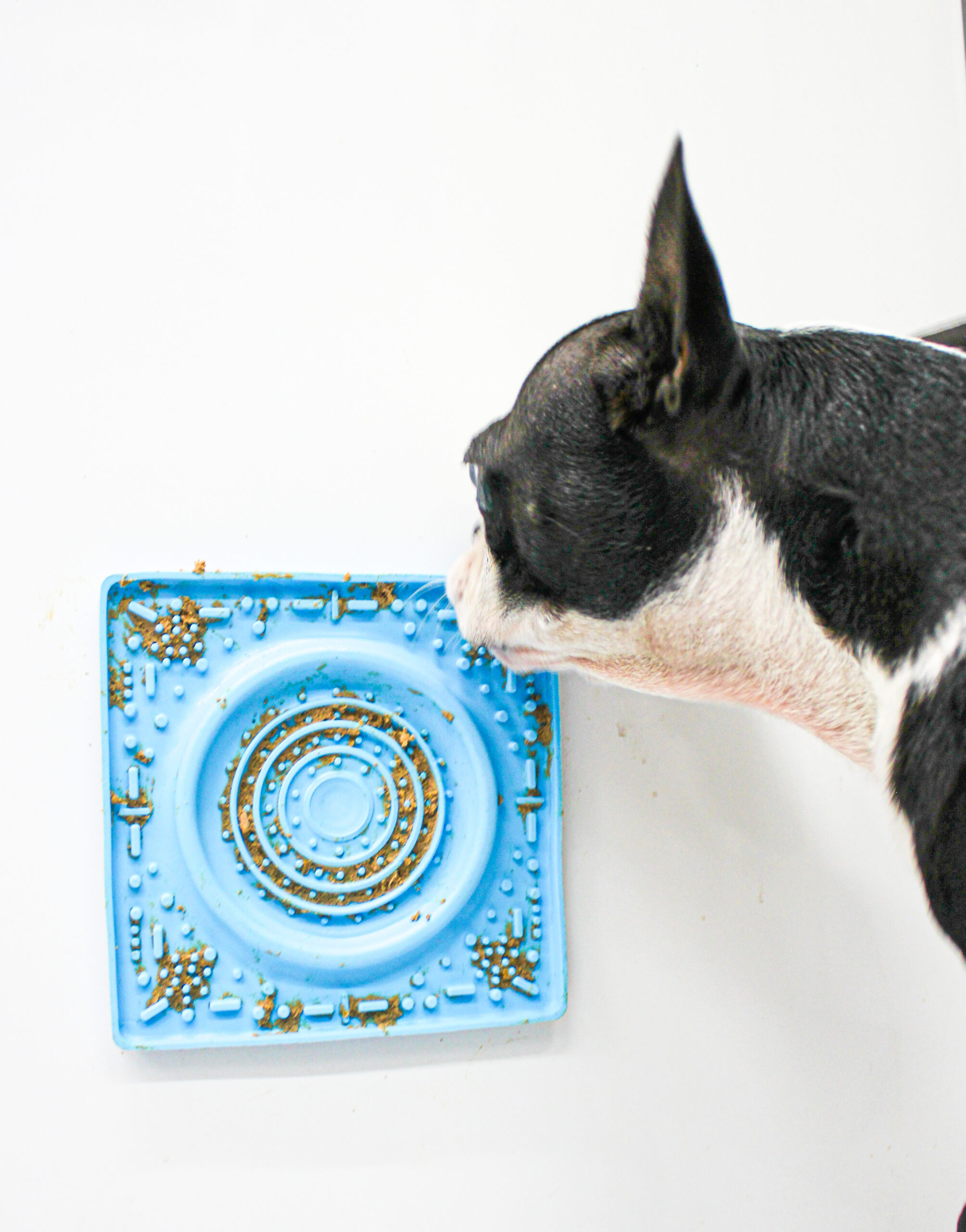 Mini Tapete de Lamber para Pets