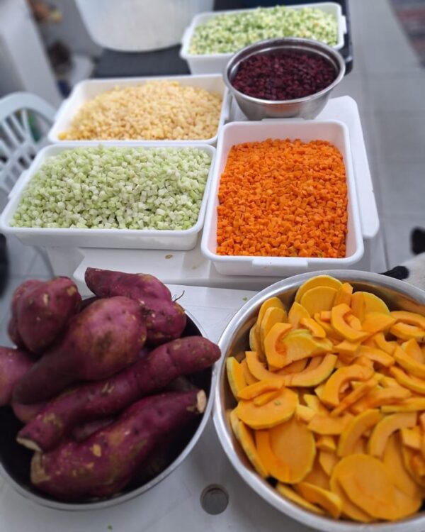Legumes cortados e separados em recipientes na cozinha Pet Four