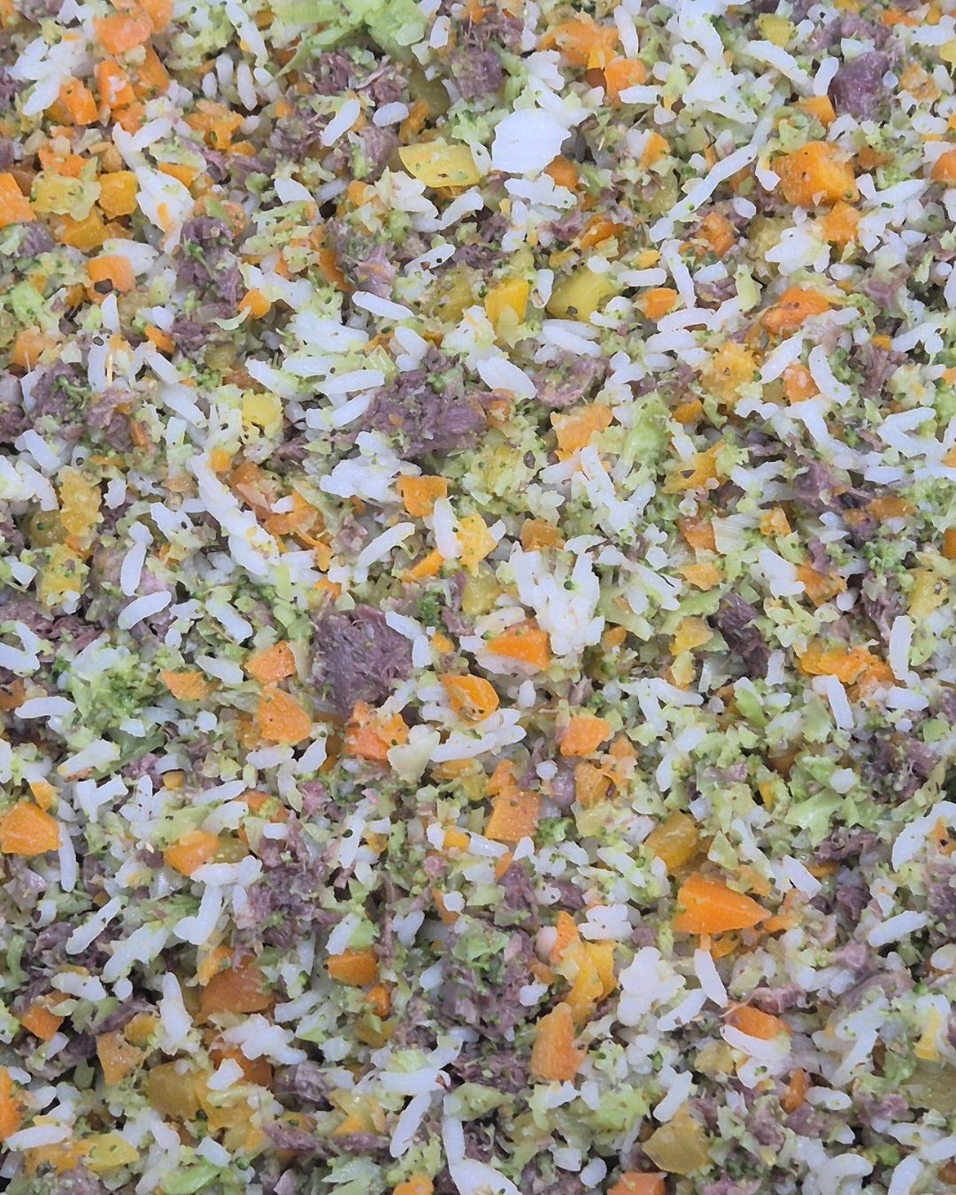 Refeição Pet Four com carne, arroz e legumes em pequenos pedaços